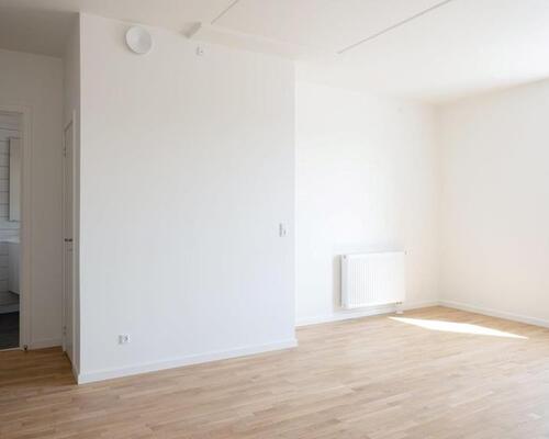 1-værelses lejlighed i Svinget, Nye