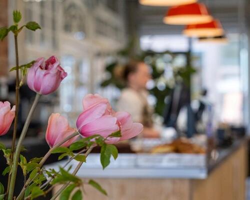 1-værelses lejlighed i Svinget, Nye