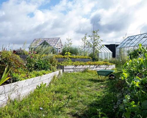 1-værelses lejlighed i Svinget, Nye