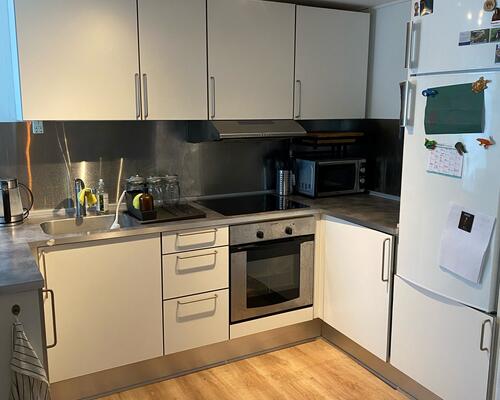 Fin lejlighed i midtbyen med lukket gårdhave, husdyr tilladt.