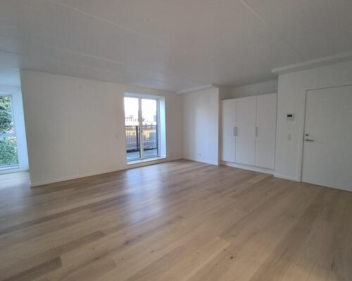 Stor flot 3V'er på Nørre Boulevard