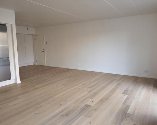 Stor flot 2V'er på Nørre Boulevard