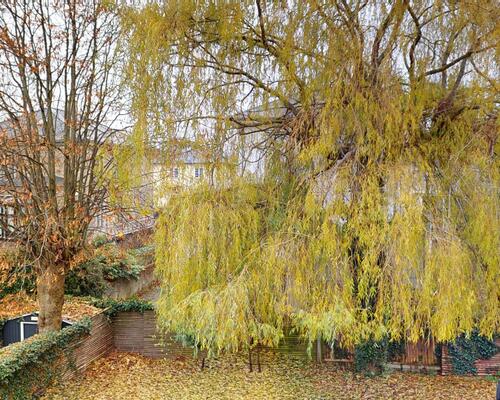 4 værelses hus i Frederiksberg C