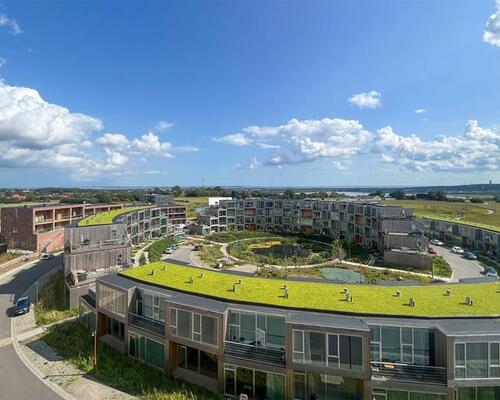 1-plans rækkehus i Nye