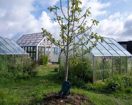 1-plans rækkehus i Nye