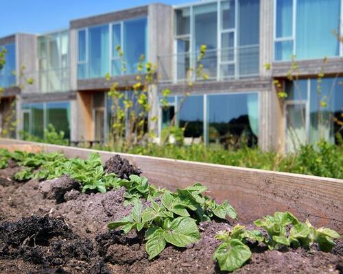 1-plans rækkehus i Nye