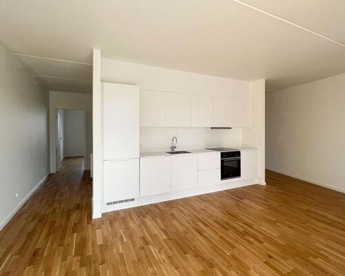 Rummelig bolig med solrig altan og terrasse