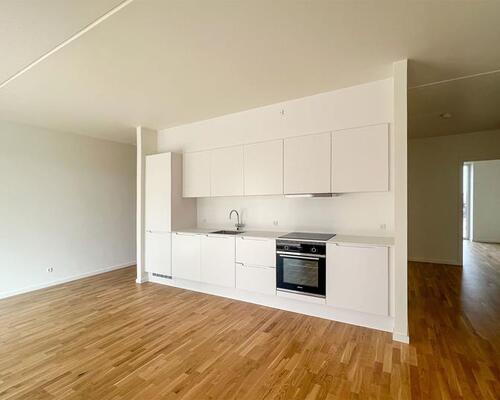 Rummelig bolig med solrig altan og terrasse