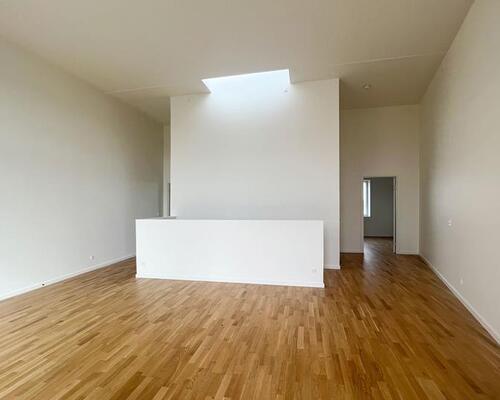 Rummelig bolig med solrig altan og terrasse