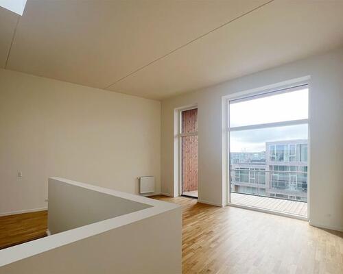 Rummelig bolig med solrig altan og terrasse