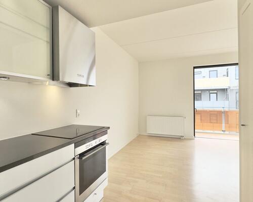 2 værelses – Munkebjergvænget 5F, 3. lejl. 5 – Odense M
