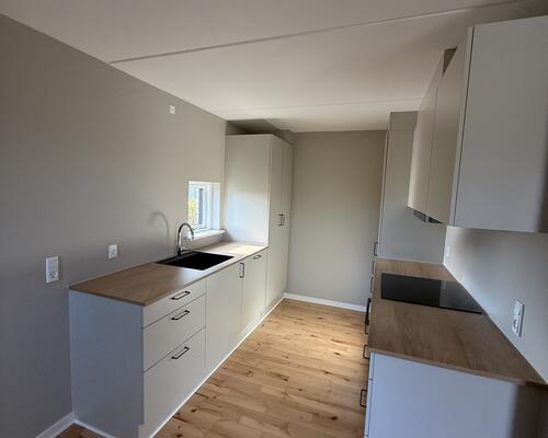 Ny renoveret 2 værelses stue bolig