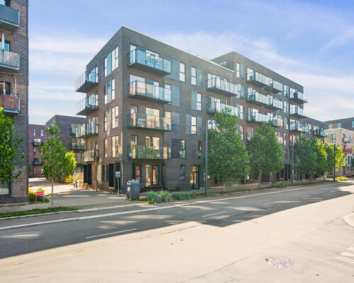 2 værelses lejlighed i København S