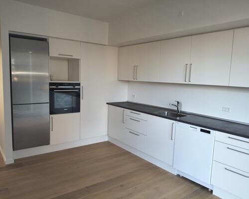 Stor flot 3V'er på Nørre Boulevard