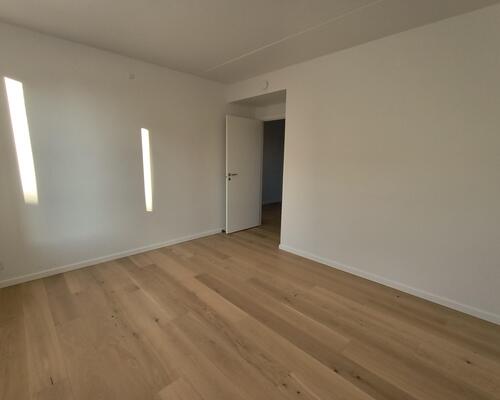 Stor flot 3V'er på Nørre Boulevard