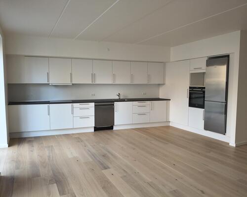 Stor flot 2V'er på Nørre Boulevard