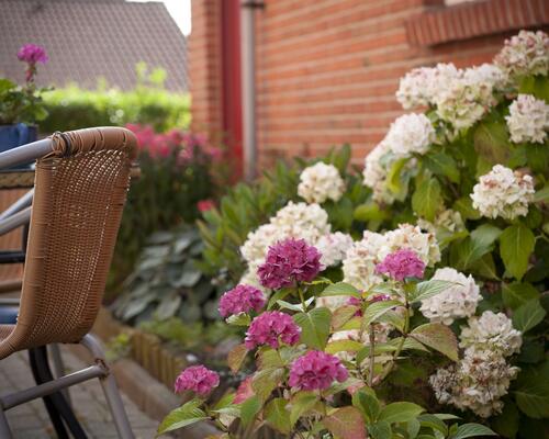 3 værelses lejlighed i Aalborg SØ