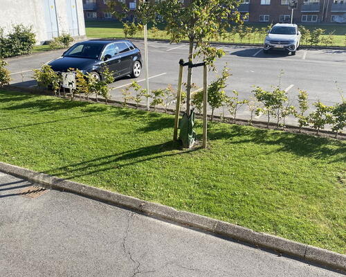 Renoveret 2-værelses lejlighed med fransk altan, tæt ved fjorden