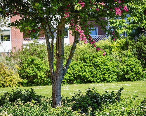 3 værelses lejlighed i Holstebro