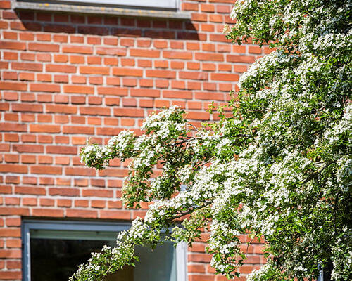 3 værelses lejlighed i Holstebro