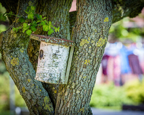 3 værelses lejlighed i Holstebro