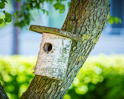 3 værelses lejlighed i Holstebro
