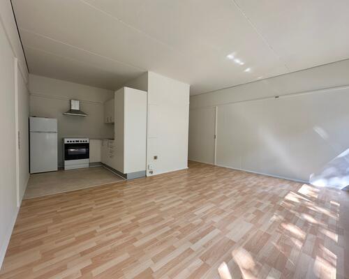 1 værelses lejlighed i Viborg