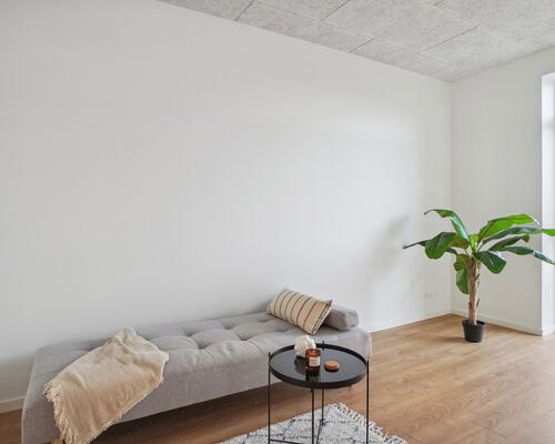 4 værelses hus i Borup