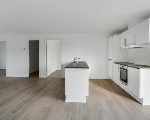 4 værelses hus i Vejle