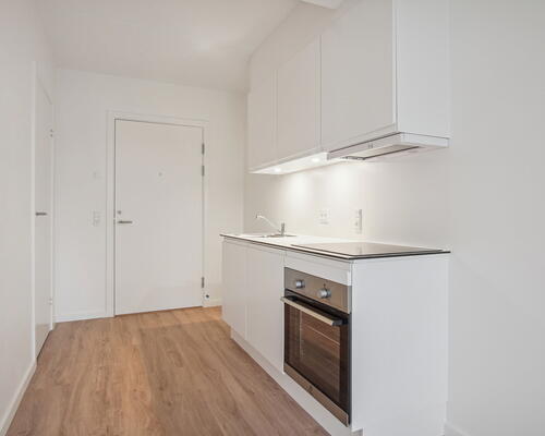 1 værelses lejlighed i Risskov