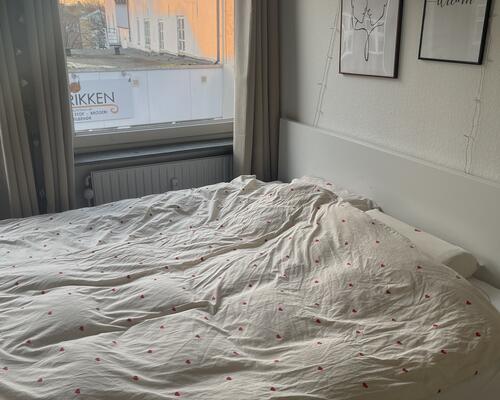 Aabenraa nyrenoveret lejlighed