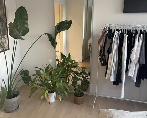 Aabenraa nyrenoveret lejlighed