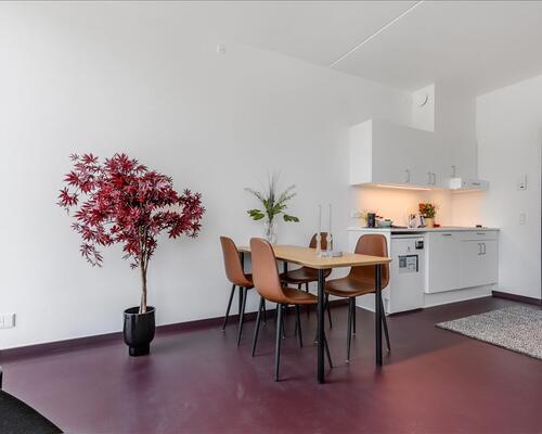 1 værelses lejlighed i Valby