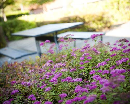 3 værelses lejlighed i Terndrup