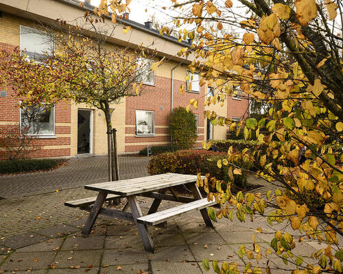 3 værelses lejlighed i Terndrup