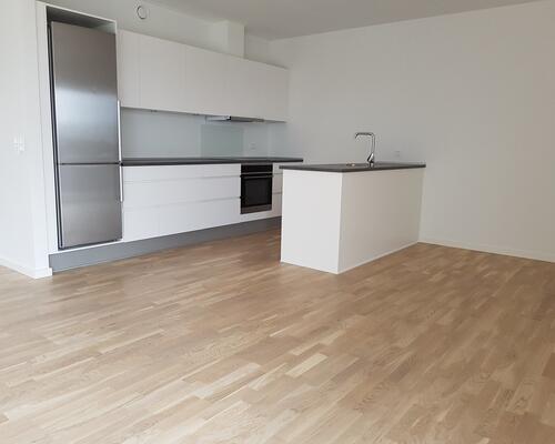 2 værelses lejlighed i nybyggeri på 78 m2.