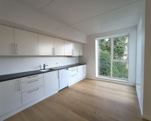 Stor flot 3V'er på Nørre Boulevard