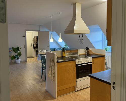 Dejlig stor 3 værelses lejlighed i centrum