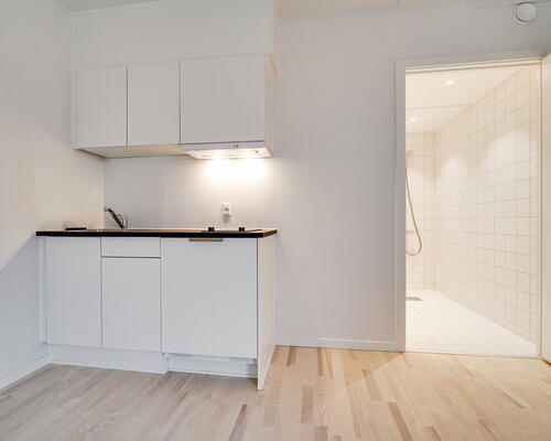 1 værelses lejlighed i Valby