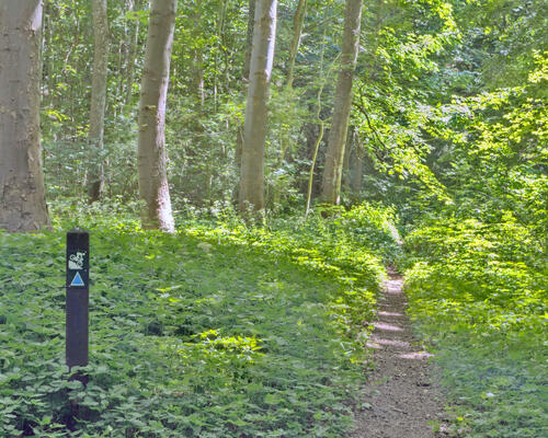 3 værelses lejlighed i Næstved