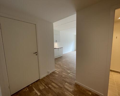 2-værelses ved Odense C