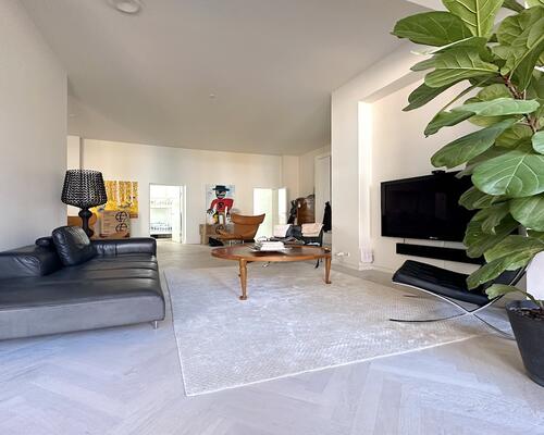 Unik lejlighed med stor privat terrasse, i hjertet af København