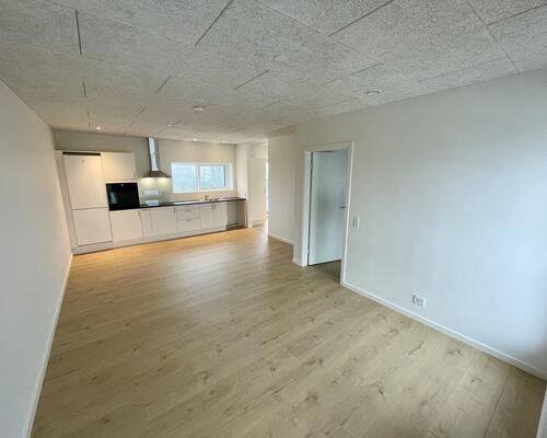 Nyopført og velindrettet lejlighed