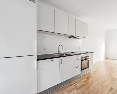 2 værelses lejlighed i Aalborg