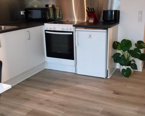 Fantastisk 1-værelses med altan