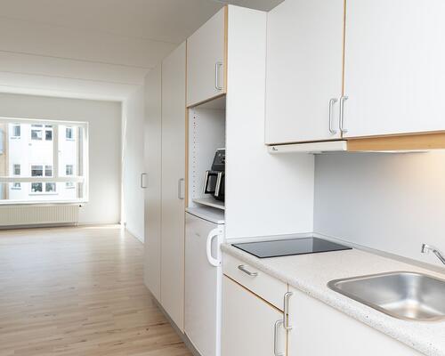 Studiebolig i Aalborg Centrum med mulighed for husdyr