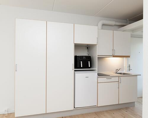 Studiebolig i Aalborg Centrum med mulighed for husdyr