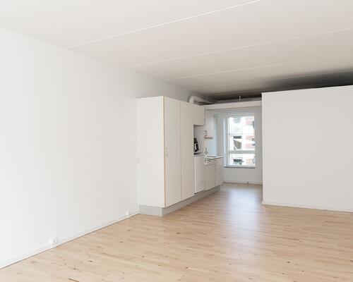 Studiebolig i Aalborg Centrum med mulighed for husdyr