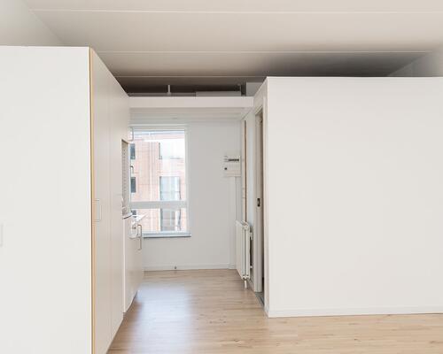 Studiebolig i Aalborg Centrum med mulighed for husdyr