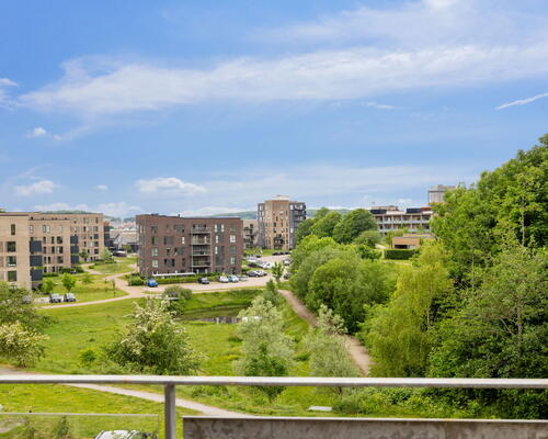 3 værelses lejlighed i Aalborg